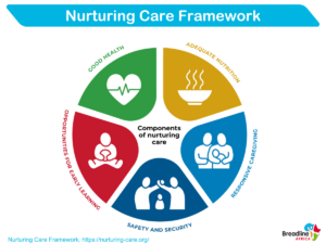 nurturing care framework